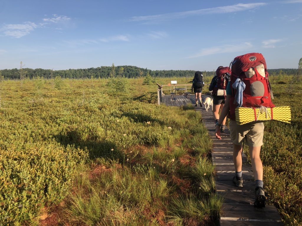 A backpacking crew and dog walk on a platform in the Adirondacks.